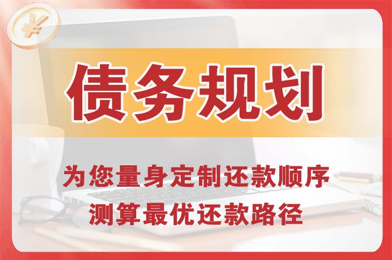 巧家债务规划